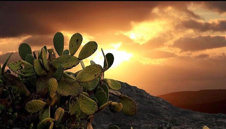 Отель Prickly Pear House Plaka  Экстерьер фото